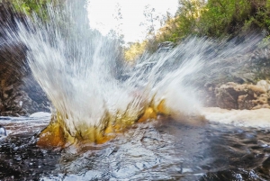 Plettenberg Bay: Canyoning Trip