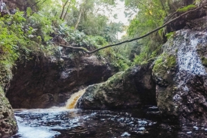 Plettenberg Bay: Canyoning Trip