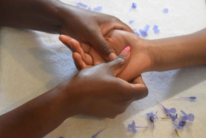 Plettenberg Bay: Heldags paket med djurliv och wellness