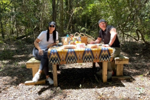 Guidet dyrelivstur og skogstur med lunsjtallerken