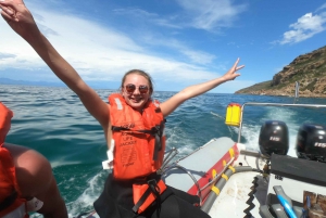 Baía de Plettenberg: experiência de natação com focas