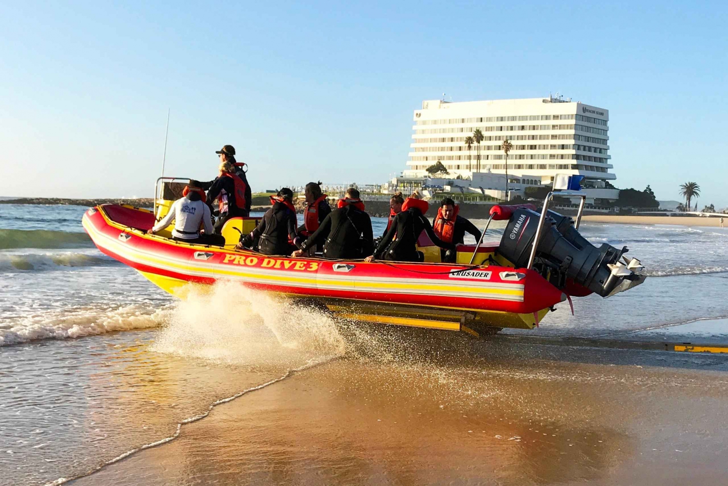 Плеттенберг-Бей: прогулка на лодке с наблюдением за тюленями