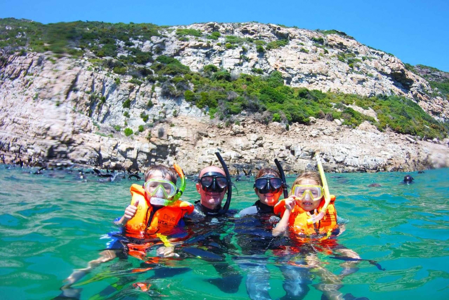 プレテンベルグ湾：アザラシと泳ぐ