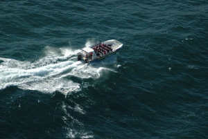 Plettenberg Bay: Whale Watching Boat Cruise