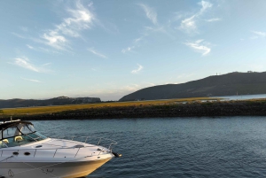 Port Elizabeth: 11 días de safari y cultura en Joburg