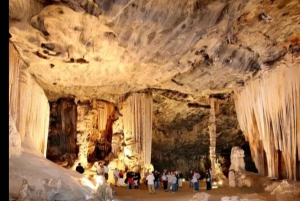 Port Elizabeth: 11 días de safari y cultura en Joburg