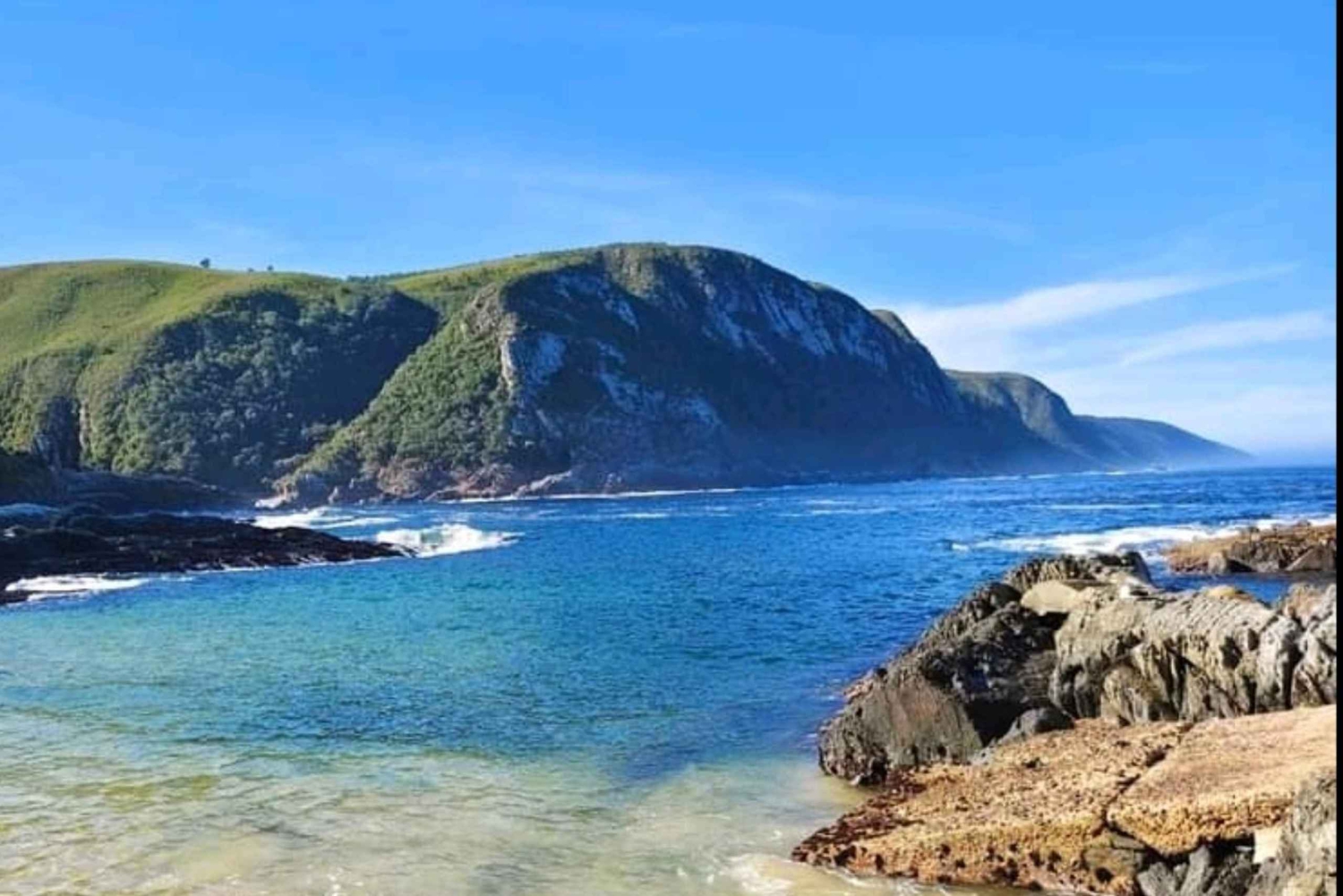 Dia inteiro no Parque Nacional Tsitsikama: Port Elizabeth