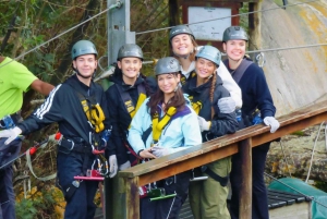 ポート・エリザベスからのツィツィカマ国立公園終日ツアー