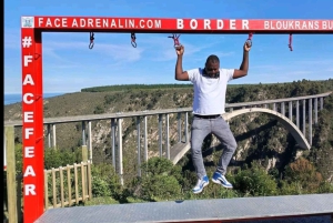 ポート・エリザベスからのツィツィカマ国立公園終日ツアー