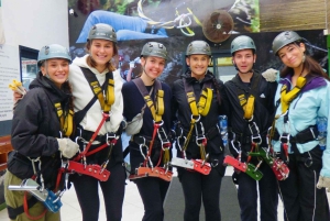 ポート・エリザベスからのツィツィカマ国立公園終日ツアー