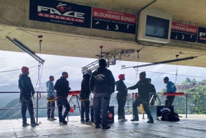 ポート・エリザベスからのツィツィカマ国立公園終日ツアー