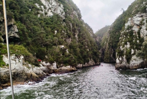 ポート・エリザベスからのツィツィカマ国立公園終日ツアー