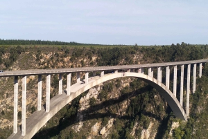 ポート・エリザベスからのツィツィカマ国立公園終日ツアー