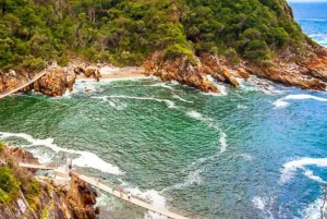 ポート・エリザベスからのツィツィカマ国立公園終日ツアー