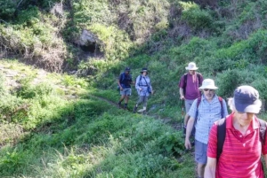 ポート・エリザベスからのツィツィカマ国立公園終日ツアー