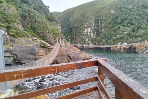 ポート・エリザベスからのツィツィカマ国立公園終日ツアー