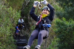 ポート・エリザベスからのツィツィカマ国立公園終日ツアー