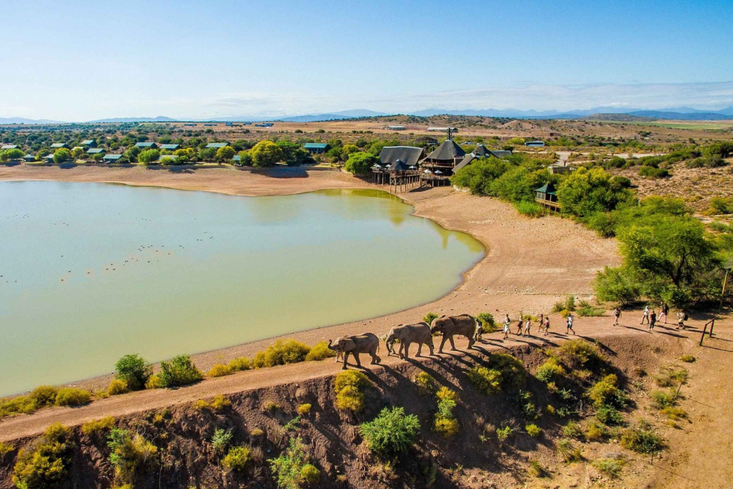 From Cape Town: South African Wildlife and Safari 2-Day Tour