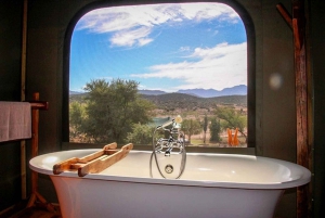 South African Wildlife and Safari 2-Day Tour from Cape Town