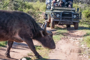 South African Wildlife and Safari 2-Day Tour from Cape Town