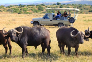 South African Wildlife and Safari 2-Day Tour from Cape Town