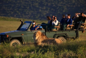South African Wildlife and Safari 2-Day Tour from Cape Town
