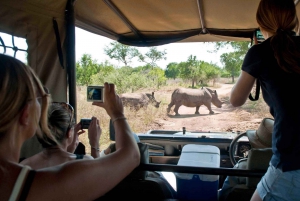 South African Wildlife and Safari 2-Day Tour from Cape Town