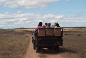 South African Wildlife and Safari 2-Day Tour from Cape Town