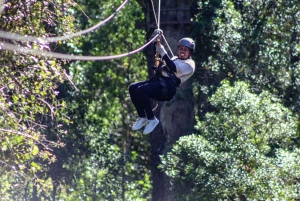 Storms River: Tsitsikamma National Park Zipline Canopy Tour