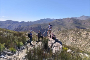 Swartberg: Half Day Hiking Adventure