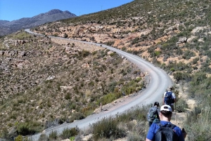 Swartberg: Half Day Hiking Adventure