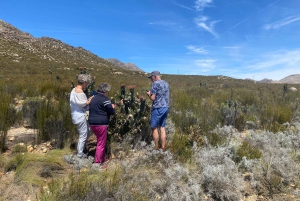 Swartberg: Half Day Hiking Adventure