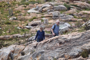 Swartberg: Half Day Hiking Adventure