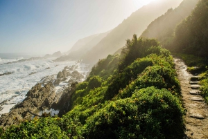 Tsitsikamma: Zipline & Storms River Mouth Privétour