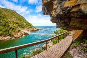 Tsitsikamma: Zipline & Storms River Mouth Privétour