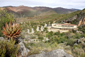 Маршрут из Кейптауна в сады: план поездки на 1–10 дней