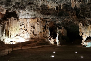 Маршрут из Кейптауна в сады: план поездки на 1–10 дней