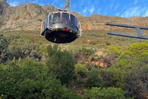 Маршрут из Кейптауна в сады: план поездки на 1–10 дней