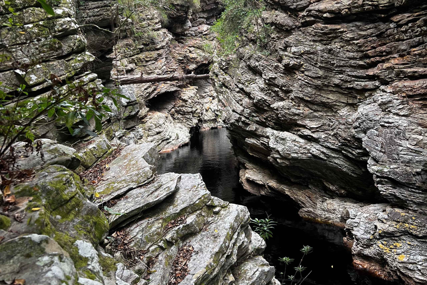 Naturaleza salvaje: Excursión al Cañón Completo