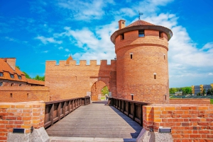 Da Danzica: Tour privato di mezza giornata del castello di Malbork