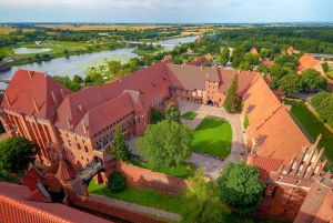 Da Danzica: Tour privato di mezza giornata del castello di Malbork