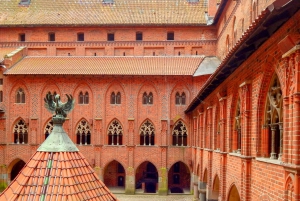 Da Danzica: Tour privato di mezza giornata del castello di Malbork