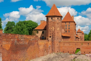 Da Danzica: Tour privato di mezza giornata del castello di Malbork