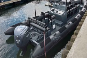 Hurtigbåt halvtimes tur i Sopot. Hastighet opp til 100 km/t