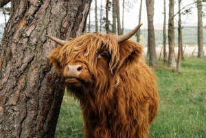 Vanuit Edinburgh: 2-daagse Ultimate Highland Tour met hotel