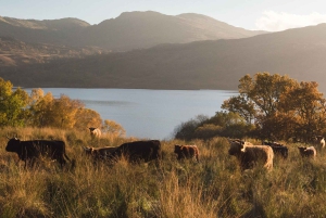 エディンバラ発：グラスゴー＆スコットランドの湖々（スペイン語ツアー）