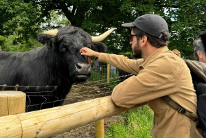 グラスゴー発：ローモンド湖、トロサックス、スターリング城ツアー