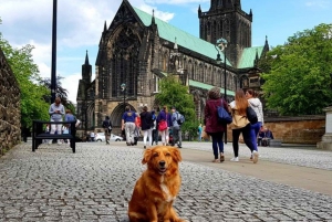 Glasgow : Visite à pied de Gander