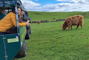 Glasgow: Highland Cow Trailer Tour kotileivonnaisilla
