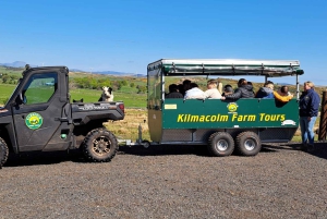 Glasgow: Highland Cow Trailer Tour kotileivonnaisilla